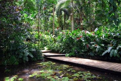Excursión privada de medio día a la costa de Lautoka en el pueblo
