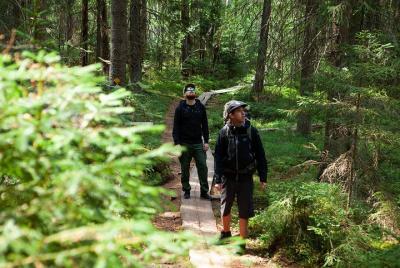 Tour de día completo en un parque nacional finlandés Tour de día completo en un parque nacional finlandés