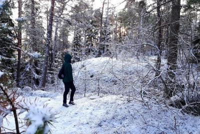 Excursión al archipiélago de invierno