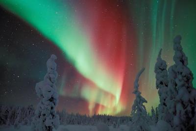 Caza de la aurora boreal, incluyendo bocadillos en fogata de Levi Caza de la aurora boreal, incluyendo bocadillos en fogata de Levi