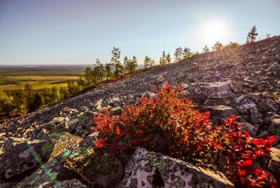 Caminata guiada fácil en el desfiladero más profundo de Finlandia