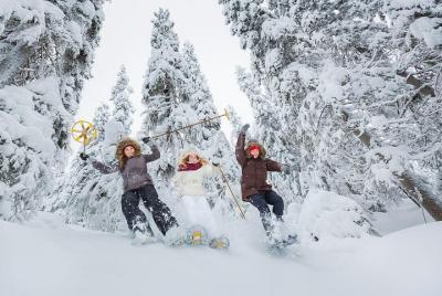 La experiencia de invierno de Laponia