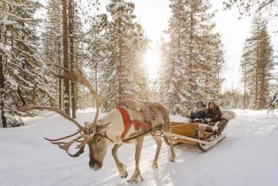 Visita a la granja de renos y paseo corto