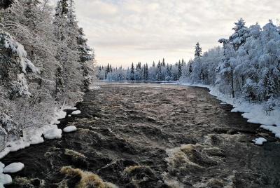 Rovaniemi: recorrido de senderismo por el sendero natural Vaattun