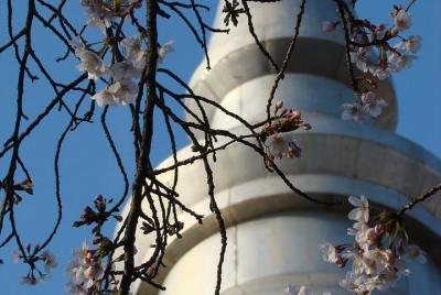 Paz y cultura - Grandes vistas de la ciudad - Caminata matutina d