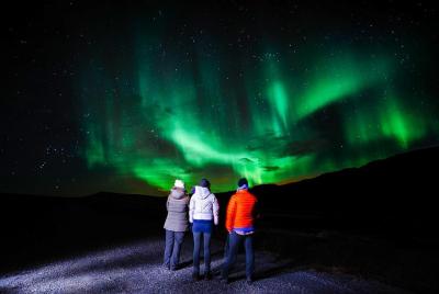 Caza de la aurora boreal, incluyendo aperitivos en fogata de Rova