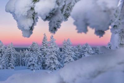 Experiencia de senderismo de supervivencia en el Ártico de Laponi