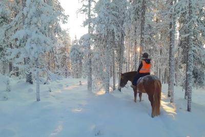 Traslado a Polaris Point Horses