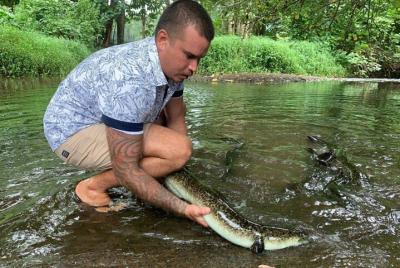 ALBERT TOURS: Excursión SAFARI 4x4
