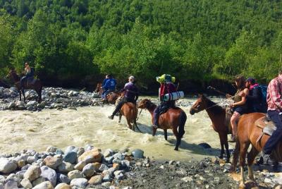 Alquiler de caballos en Mestia, Becho, Mazeri Alquiler de caballos en Mestia, Becho, Mazeri