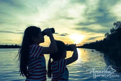 Klias Wildlife Safari River Cruise - Proboscis Monkey & Fireflies Klias Wildlife Safari River Cruise - Proboscis Monkey & Fireflies