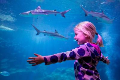 Evite las colas: Entrada a SEA LIFE Oberhausen