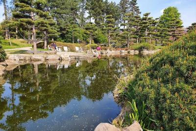 Búsqueda del tesoro digital alrededor del jardín japonés en Nordpark, Düsseldorf Búsqueda del tesoro digital alrededor del jardín japonés en Nordpark, Düsseldorf