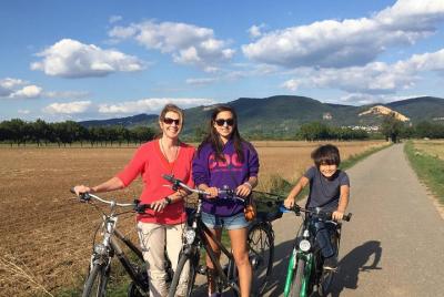 Tour en bicicleta desde Heidelberg hasta el pintoresco Ladenburg. Tour en bicicleta desde Heidelberg hasta el pintoresco Ladenburg.