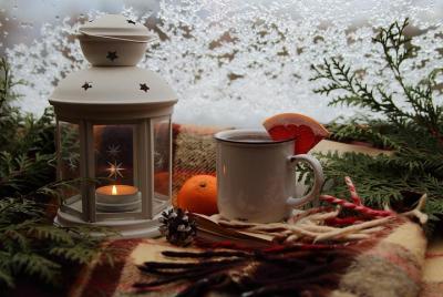 Trineo de invierno (paseo en carreta cubierta con vino caliente)