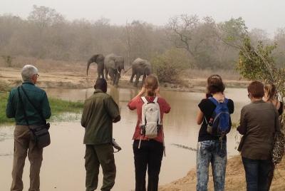 3 días de safari de base a topo