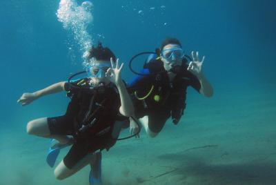 Descubra la experiencia de buceo en Nea Makri