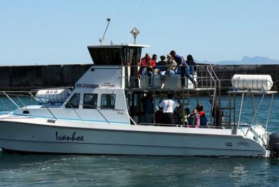 Big 5 Sea Safari en Walker Bay desde Gansbaai