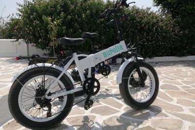 Alquile una bicicleta eléctrica Aurelia Alquile una bicicleta eléctrica Aurelia