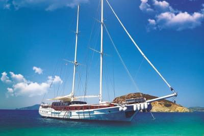 Viaje de día completo en goleta VIP a Lindos desde Rodas