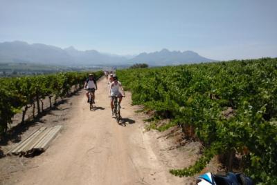 Tour en bicicleta de lujo de Franschhoek Winelands
