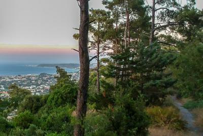 Filerimos Herb - Experiencia de senderismo de medio día en grupos