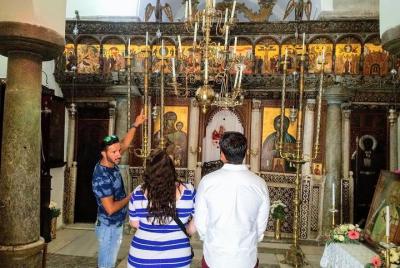 Excursión de medio día a Santorini Highlights