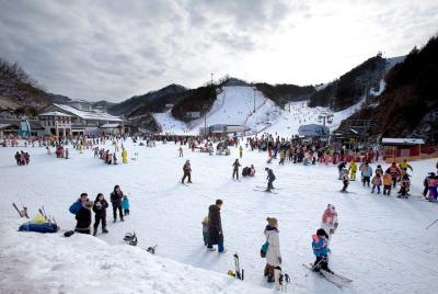 Elysian Gangchon Ski con Nami Island y Garden of Morning Calm (Fe