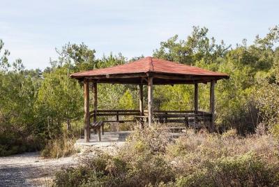 Corre y camina en Tesalónica. Ruta de los Apollon.