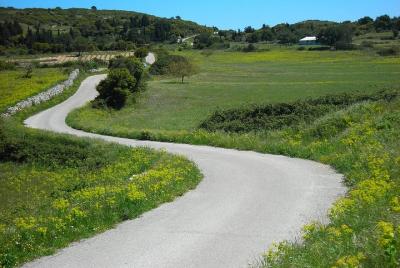 Recorrido en autobús por la isla Zante