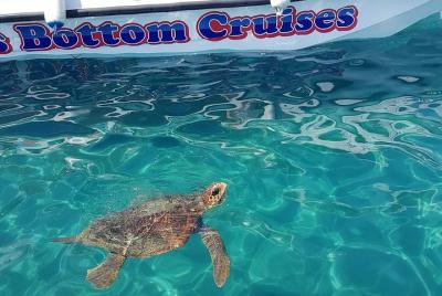 Crucero a la isla de las tortugas y cuevas con un barco con fondo