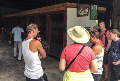 Fábrica de chocolate Belmont Estate, Annandale Falls y Grand Etang Lake Tour Fábrica de chocolate Belmont Estate, Annandale Falls y Grand Etang Lake Tour