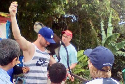 Grand Etang Lake & National Park, Annandale Falls y Fort Frederick Tour Grand Etang Lake & National Park, Annandale Falls y Fort Frederick Tour