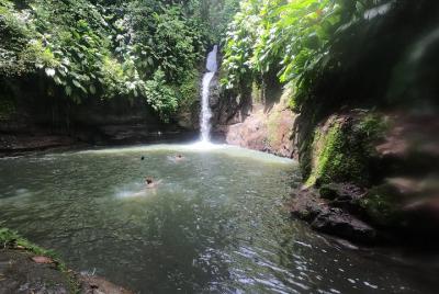 Cascada enclavada en la selva