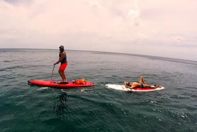 Alquiler de Step Paddle en Guadalupe