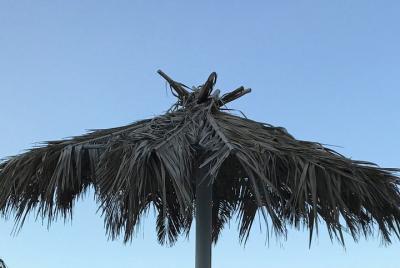 Traslado privado al aeropuerto - Vassillikos One Way Transfer