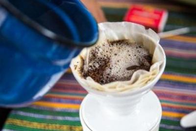 Tour y taller de café