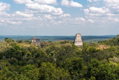 Tour privado de un día a TikalVIP desde Flores o tikal con transp Tour privado de un día a TikalVIP desde Flores o tikal con transp