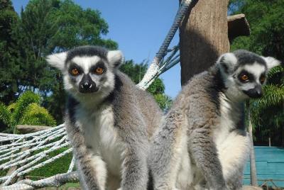 Entrada al Zoo La Aurora