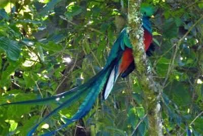 Tour quetzal en el lago de atitlán Tour quetzal en el lago de atitlán