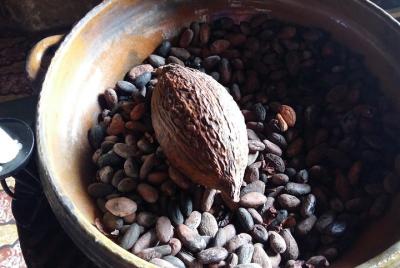 Tour Del Chocolate  Tour Del Chocolate