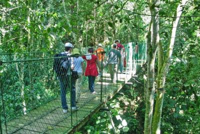 Copan Ruinas Tour del Cafe 