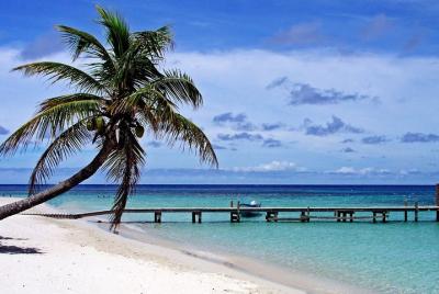 Excursión en tierra: recorrido turístico por el East End de Roatá