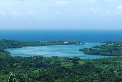 Haga su día, a su manera el tour de estilo libre de Roatan