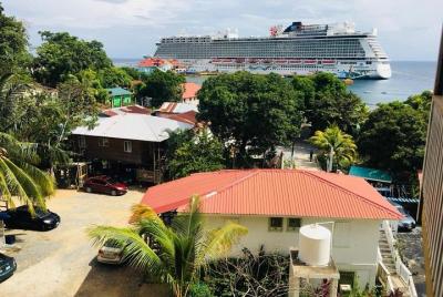 Recorrido turístico y escapada de playa en Roatán