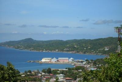 Visita cultural de 4 a 5 horas, visita opcional para ver monos y 