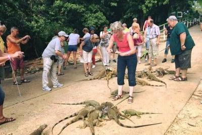 Roatan Wild Side Monkyes and sloth hangout iguana and Snorkeling