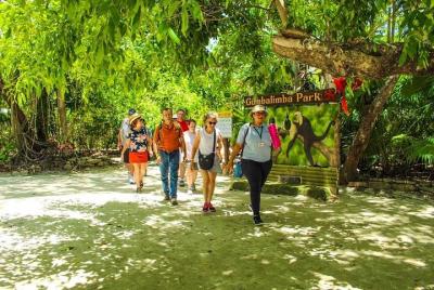 Tour privado guiado al parque Gumbalimba desde Roatán