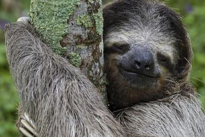Experiencia de concienciación en parque ecológico