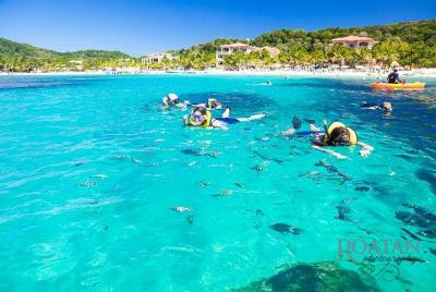 Excursión a Roatán: Beach Break / Plus Sloth Park y Snorkel Adven